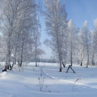 прогулка :: Николай Мальцев