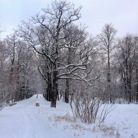 В парке :: Сергей Григорьев