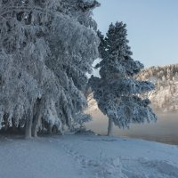 Этюд :: Анатолий Соляненко