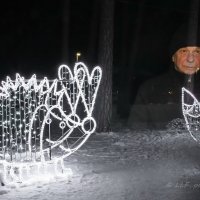 Привидение в зимнем парке. :: Liudmila LLF