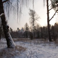 *** :: Владимир Безбородов