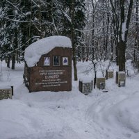 Героям Первой мировой. :: Яков Реймер