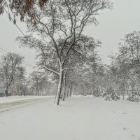 Суровая зима :: Дмитрий фотограф