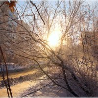 На Запад. :: Александр Шимохин