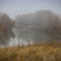 туман...река..осень.. :: Elena Zavjalowa