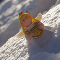 snow angel :: Елена Елена