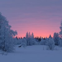 Конец полярной ночи!!!! :: Олег Кулябин