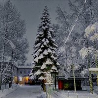 Зима на вечернем дворе. :: Sergey Serebrykov