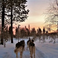 Север крайний... :: Евгений Яхим