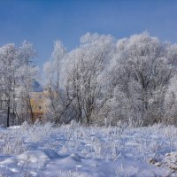 зима :: Петр Беляков