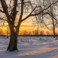 Вечер за городом :: Любовь Потеряхина