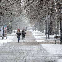 зима в парке ... :: Milan Bubeníček