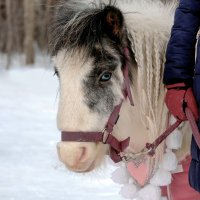 Эх, жизнь... :: Сергей 