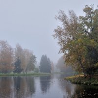 в осеннем парке... #4 :: Андрей Вестмит