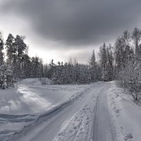 Зимняя дорога :: vladimir Bormotov