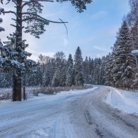 *** :: Владимир Безбородов