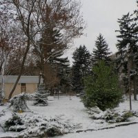 Зима в Ботаническом саду :: Александр Рыжов