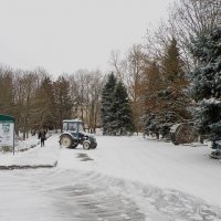 Ботанический сад имени Николая Багрова. Зима :: Александр Рыжов