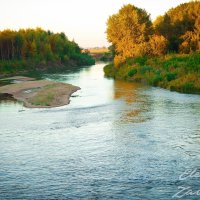 Алтай,река Алей :: Elena Zavjalowa