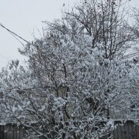 Много снега на НГ)) :: Алексей Кузнецов