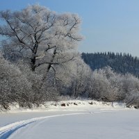 Зима :: Радмир Арсеньев