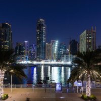 Dubai Marina :: Александр Янкин