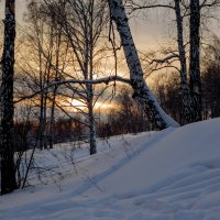 ## :: Александр Ломов