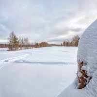 Вылазка за город :: Юлия Новикова