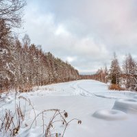 Зимний день :: Юлия Новикова