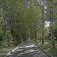 Тенистая аллея в парке :: Алексей Виноградов