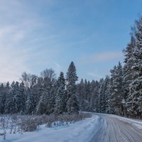 *** :: Владимир Безбородов