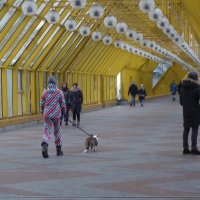 прогулка по Андреевском мосту :: Елена 