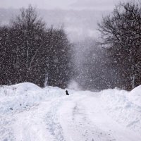 ух,намело)) :: Юлия Гайдукевич