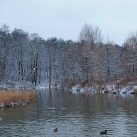 Снег :: Евгений Седов