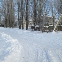 Необычности зимы,или как то так)))) :: Алексей Кузнецов