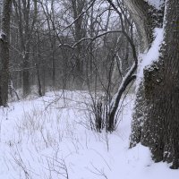 древни :: Михаил Жуковский