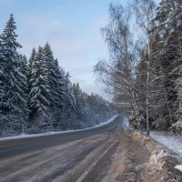 *** :: Владимир Безбородов