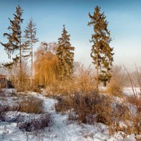 зимний пейзаж :: юрий иванов