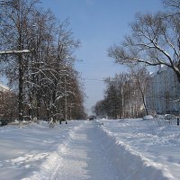 Зима. :: Владимир Драгунский