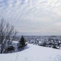 ** :: Роман Пацкевич