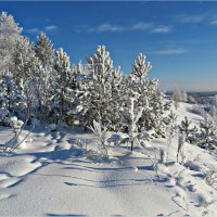 Мороз и солнце... :: Leonid Rutov