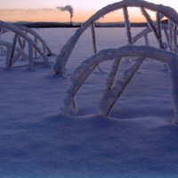 Трава под тяжестью снега. :: Галина Полина