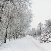 Зимняя дорога.. :: Юрий Стародубцев