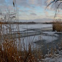 Днепровские плавни :: Владимир Клюев