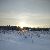 Скупое солнце января ! :: Сергей 