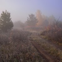 Осеннее прохладное утро :: Владимир Макаров