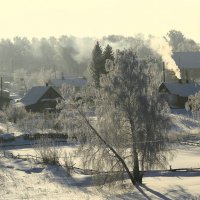 Морозный январь 9 :: Сергей Жуков