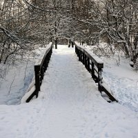 Замерзший мост через деревянную реку :: Alex Sash