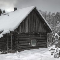 По черному в белом :: Андрей Троицкий