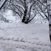 Наша зима 2019 :: Владимир Кроливец
